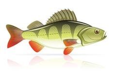 المأكولات البحرية لالتهاب البنكرياس